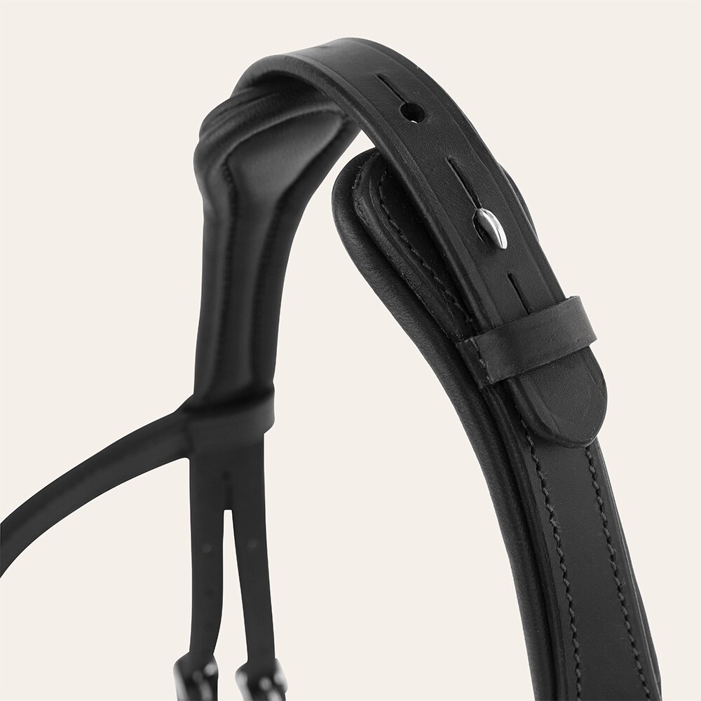 Bridles  Milford Fairfield®