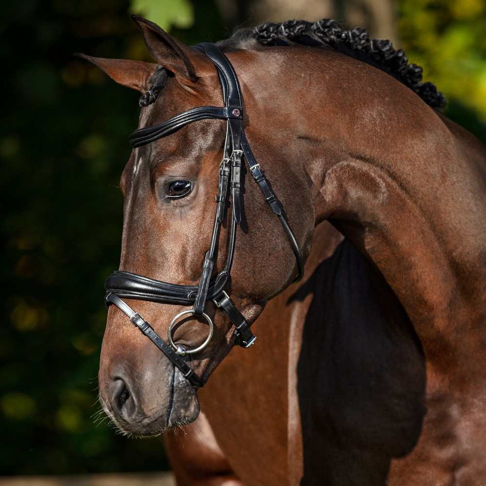 Combined noseband bridle  Neston Fairfield®