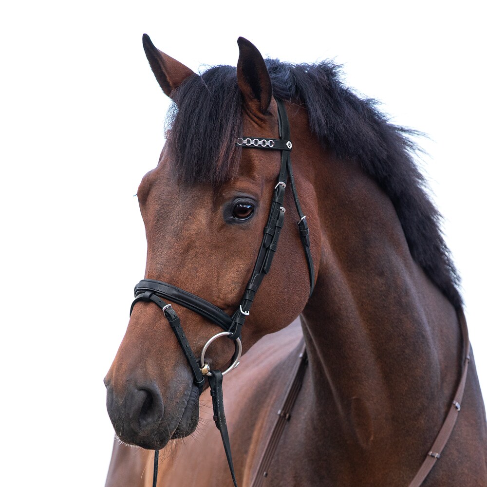 Combined noseband bridle  Lyndon Fairfield®