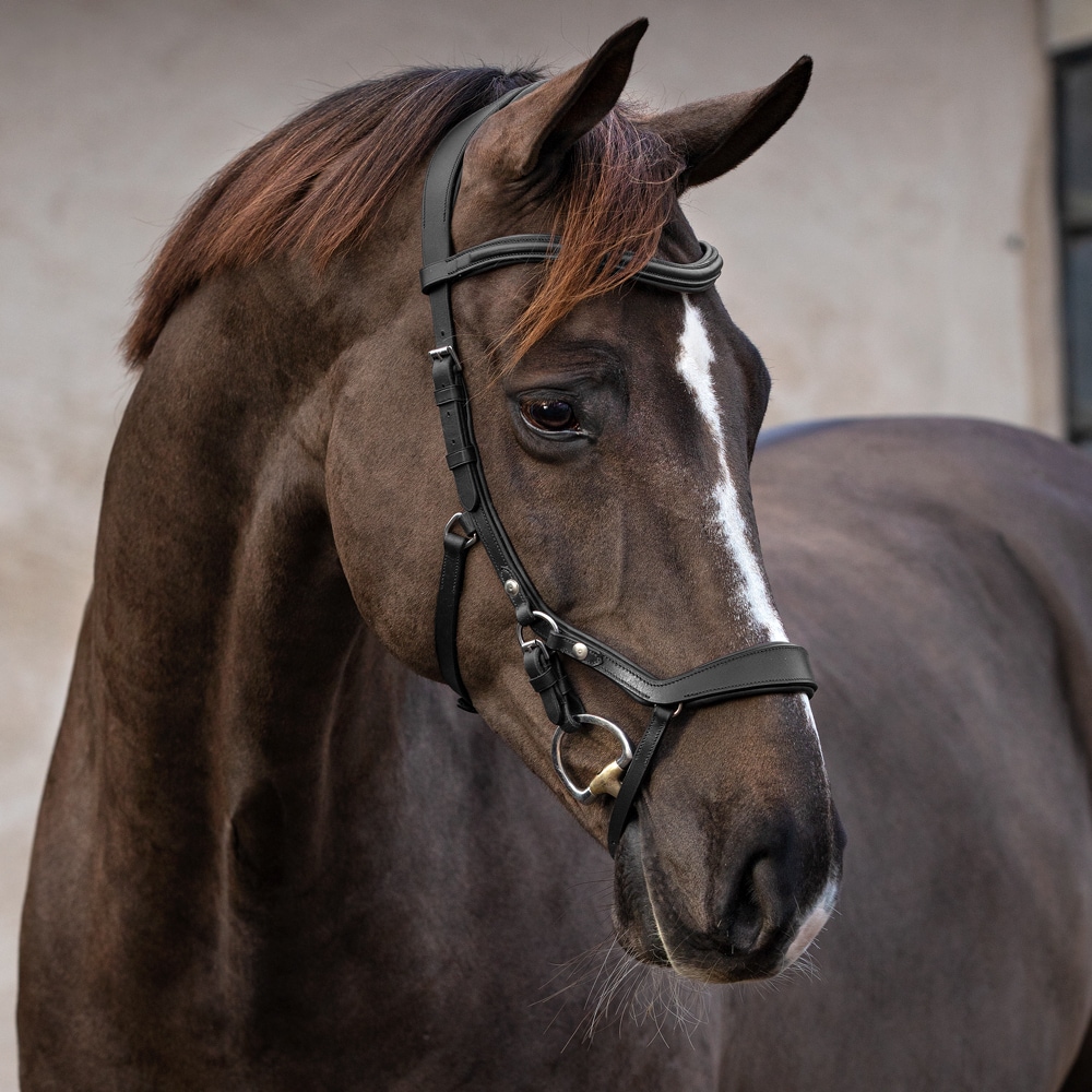 Bridles  Croston Fairfield®