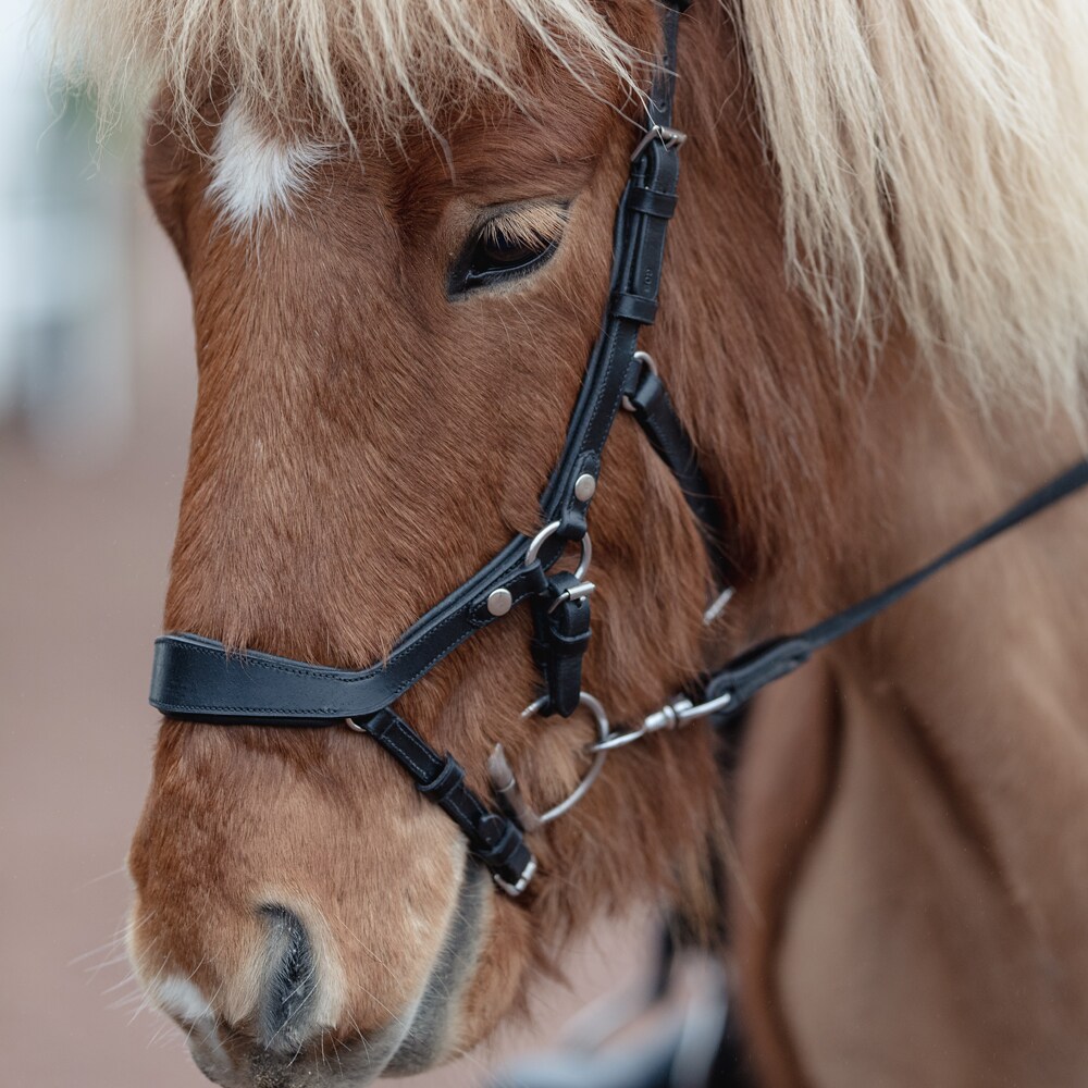 Bridles  Croston Fairfield®