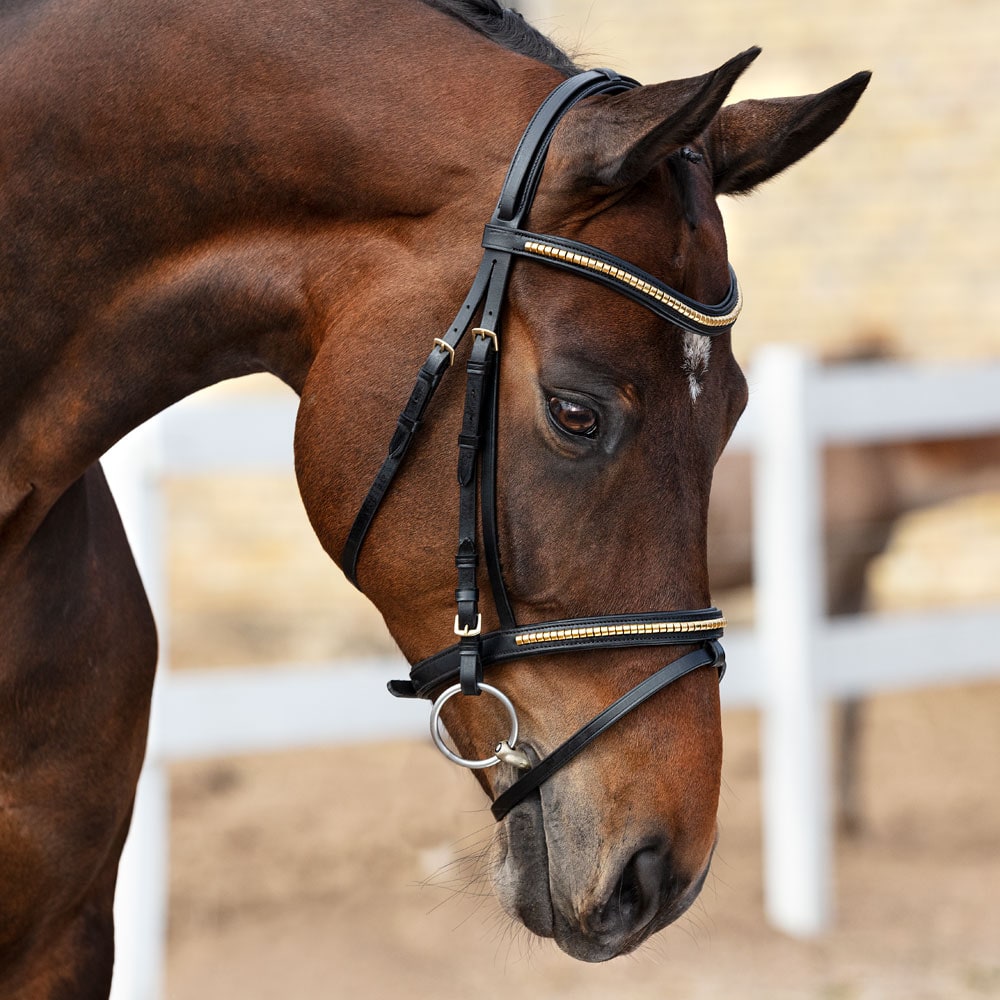 Combined noseband bridle  Axford Fairfield®