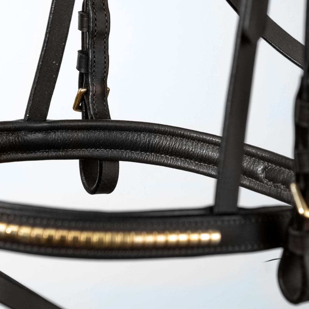 Combined noseband bridle  Axford Fairfield®