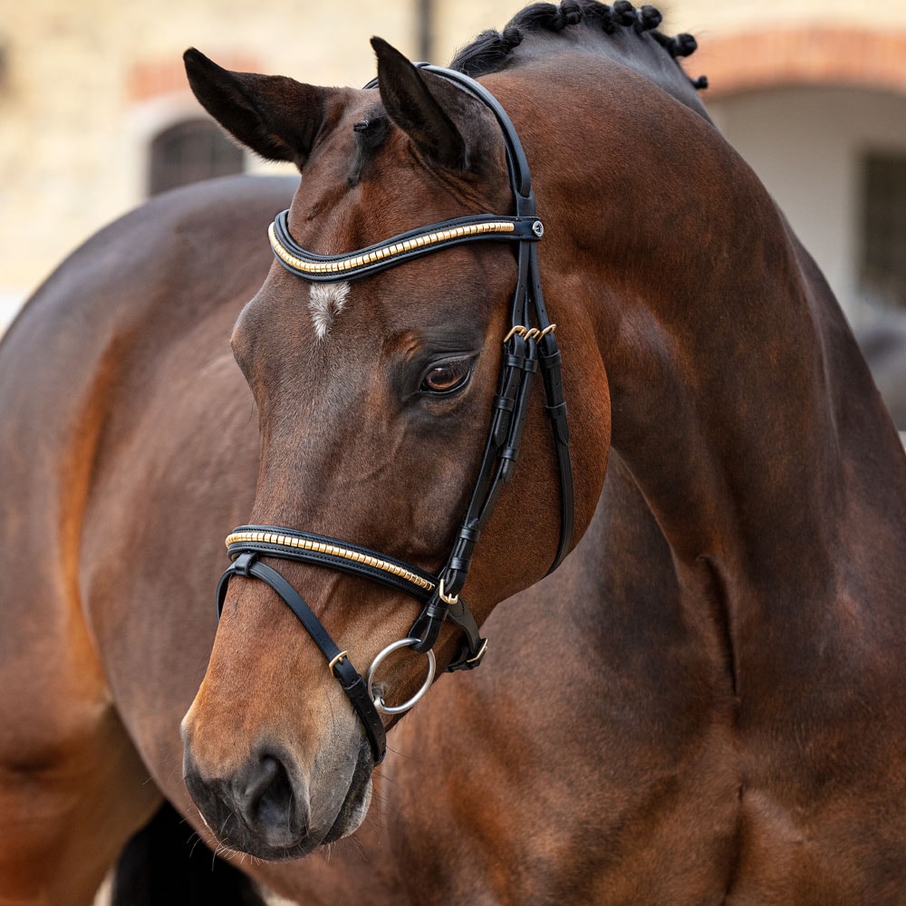 Combined noseband bridle  Axford Fairfield®