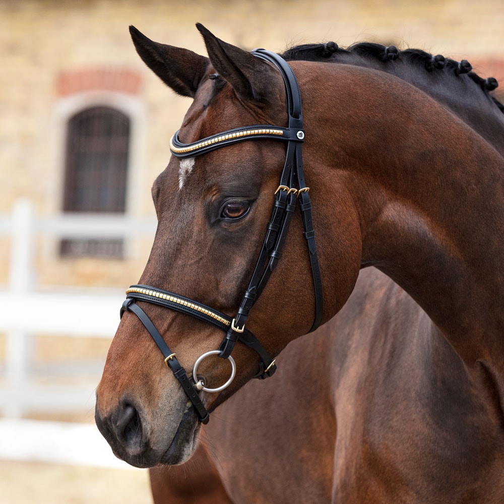 Combined noseband bridle  Axford Fairfield®