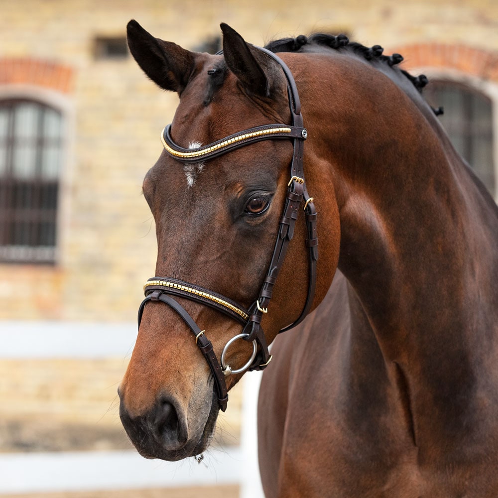 Combined noseband bridle  Axford Fairfield®