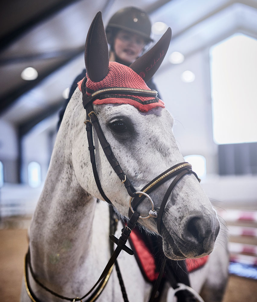 Combined noseband bridle  Axford Fairfield®