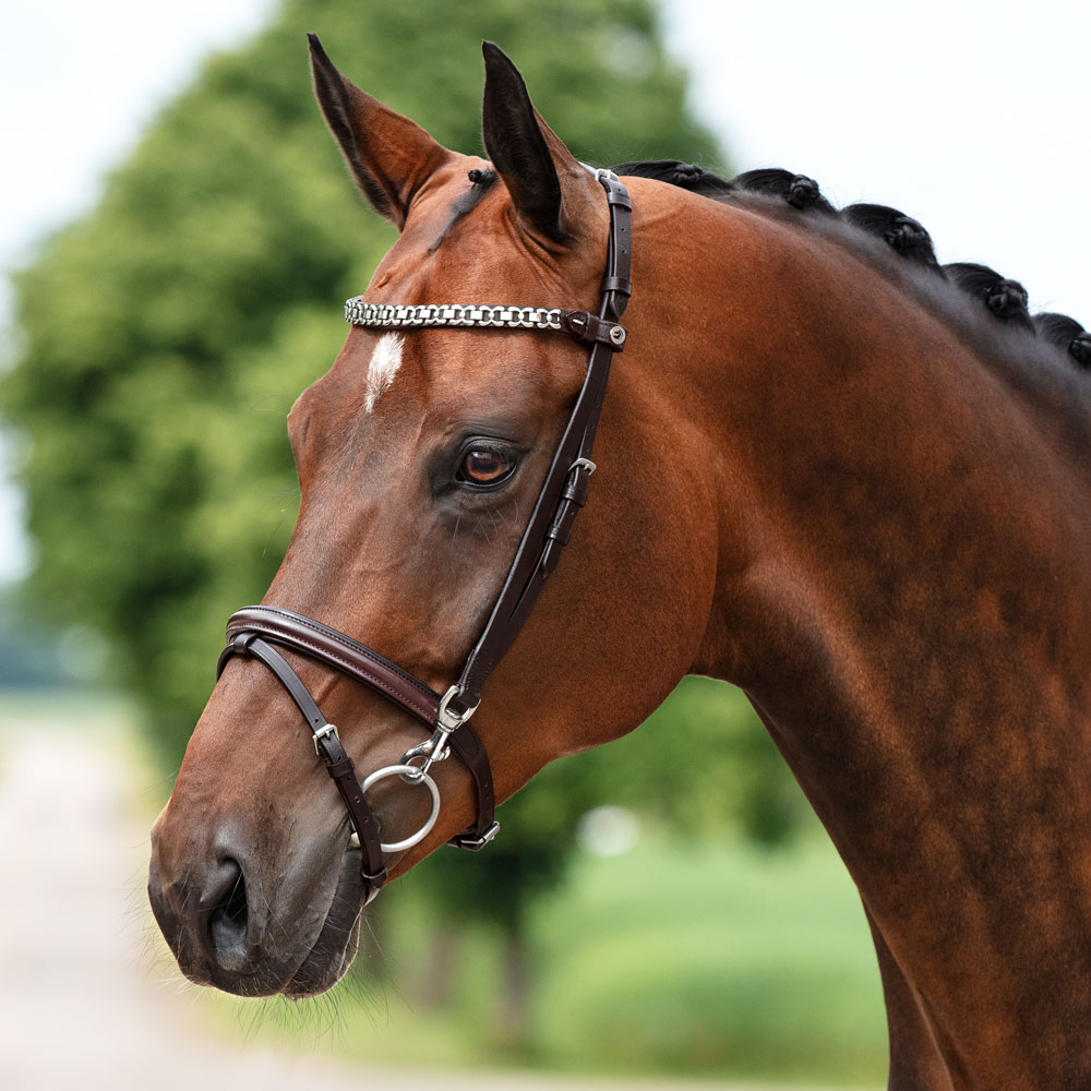 Combined noseband bridle  Corton Fairfield®