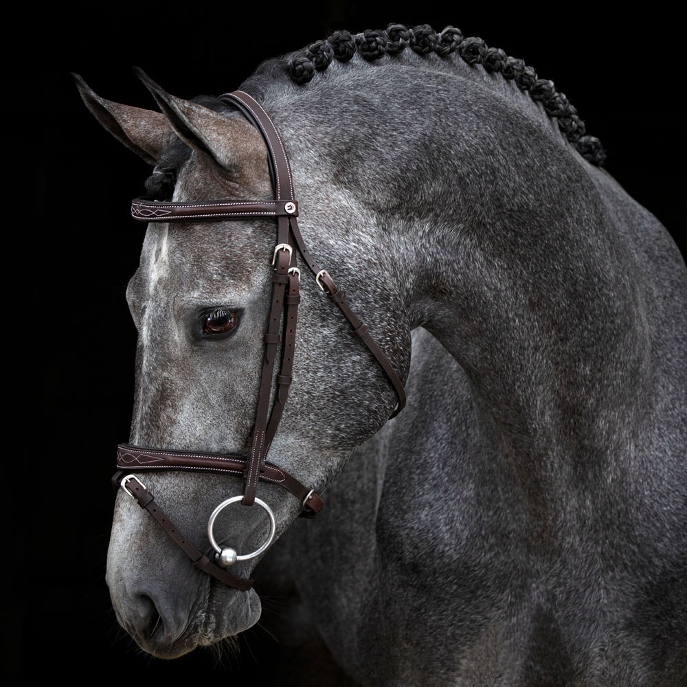 Combined noseband bridle  Galway Fairfield®