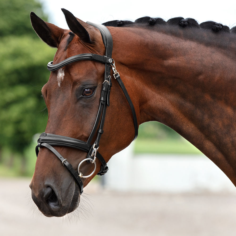 Combined noseband bridle  Skipton Fairfield®