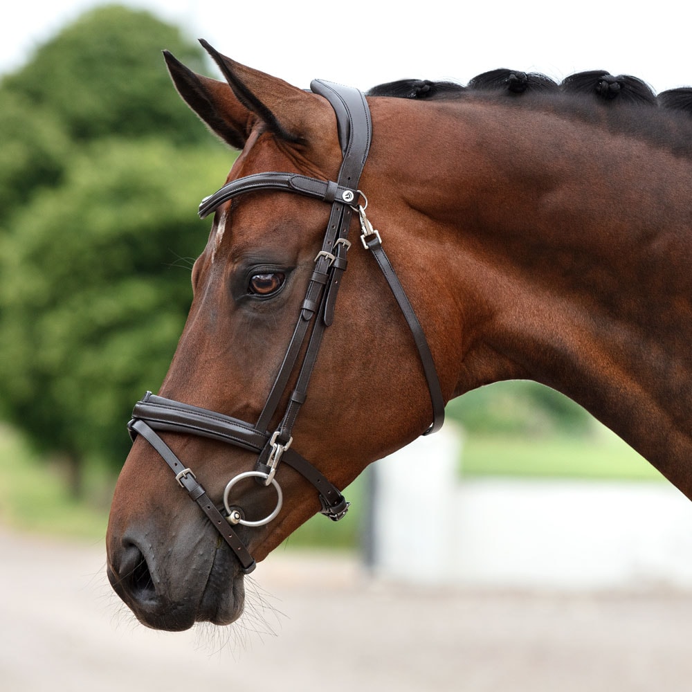 Combined noseband bridle  Skipton Fairfield®