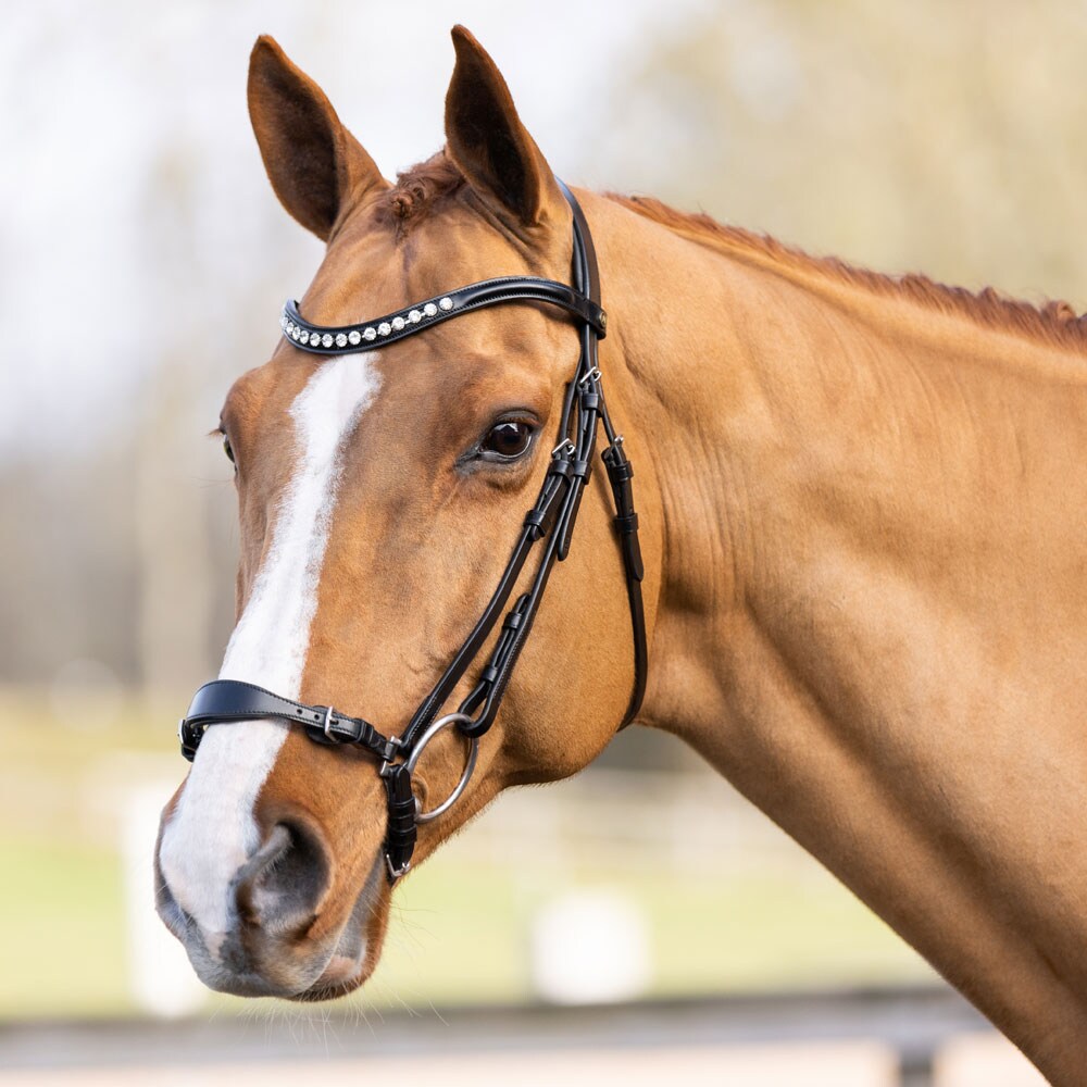 Drop noseband bridle  Fonti JH Collection®