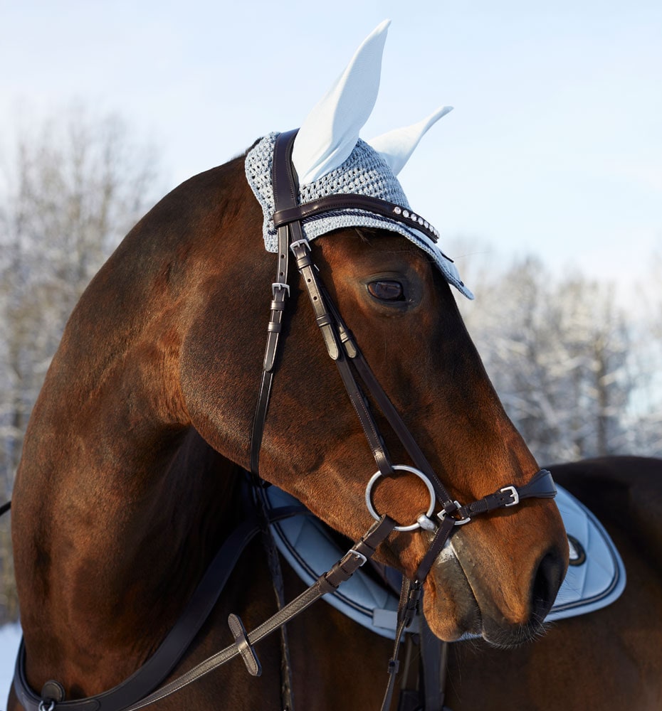 Drop noseband bridle  Fonti JH Collection®