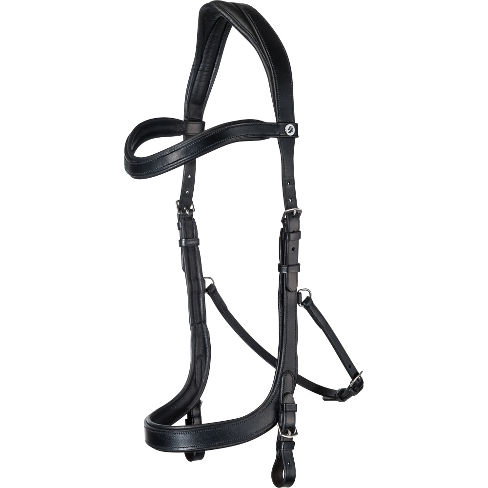 Bridles  Lingus Fairfield®