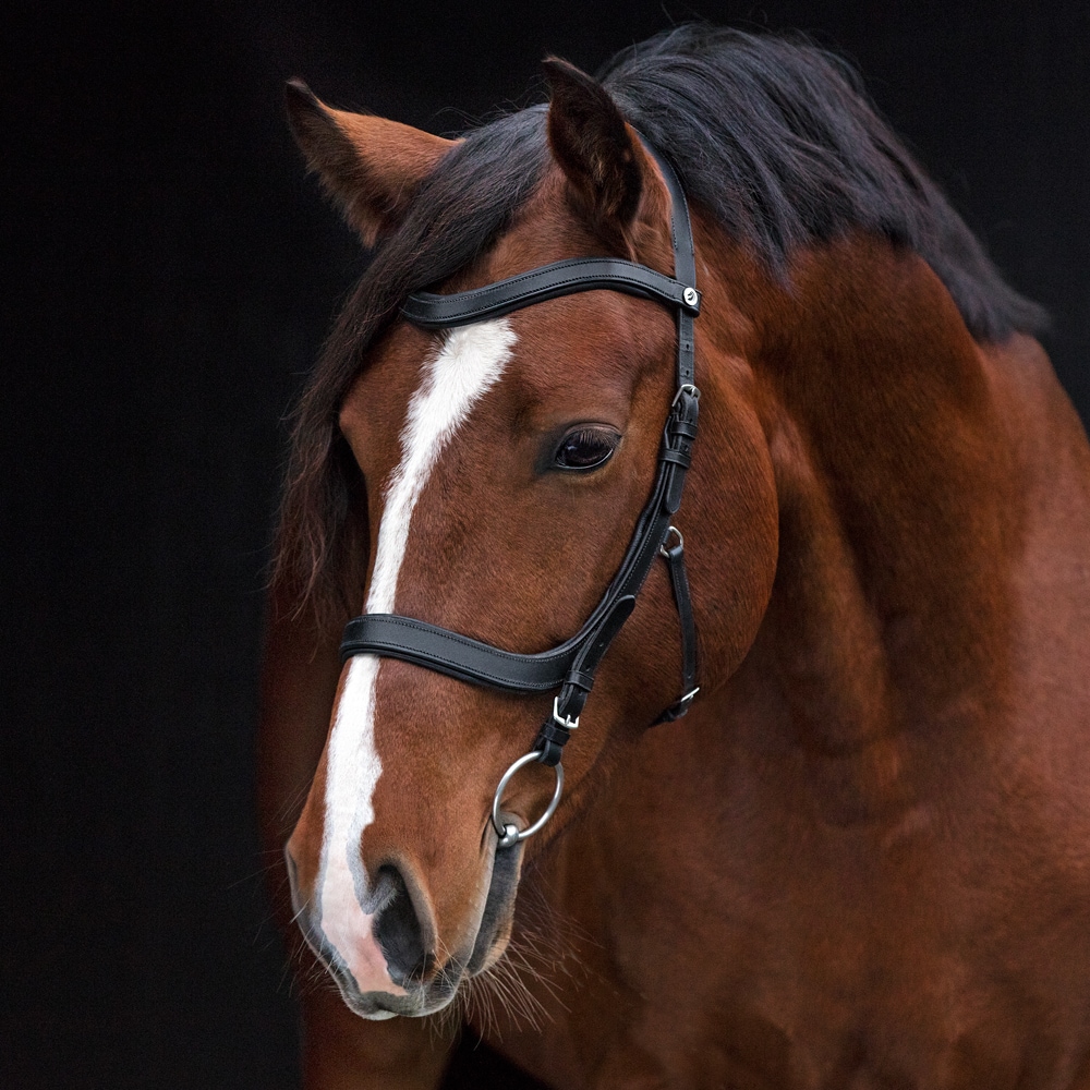 Bridles  Lingus Fairfield®