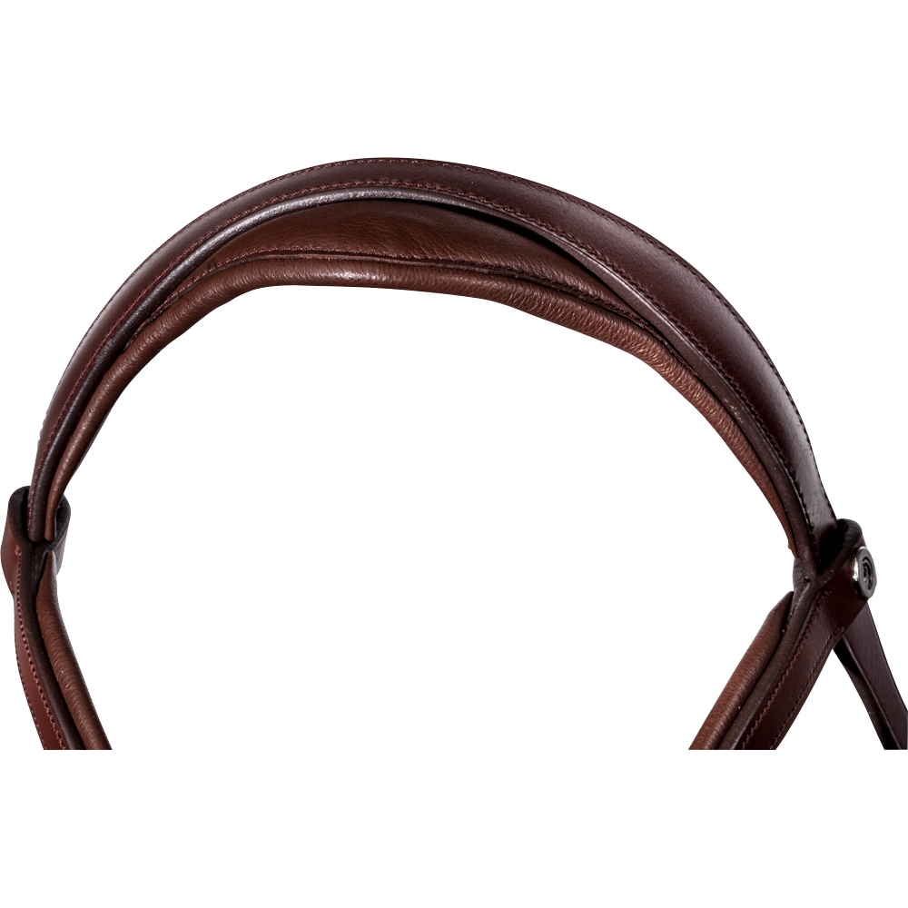 Bridles  Lingus Fairfield®