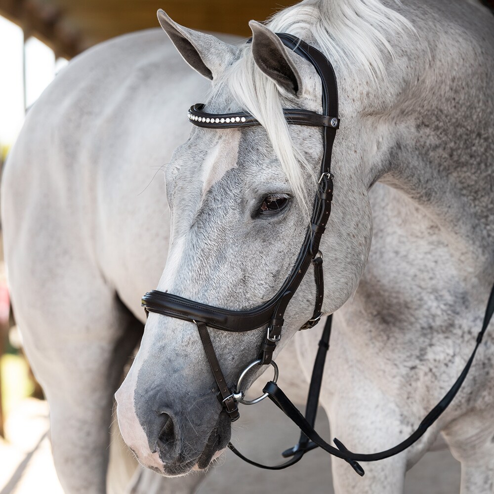 bridles
