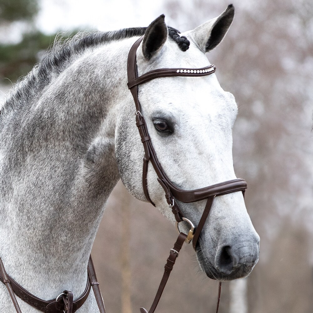 bridles