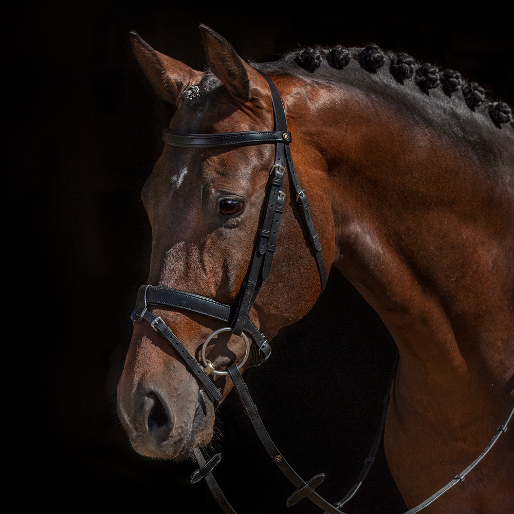 Combined noseband bridle  Modin JH Collection®