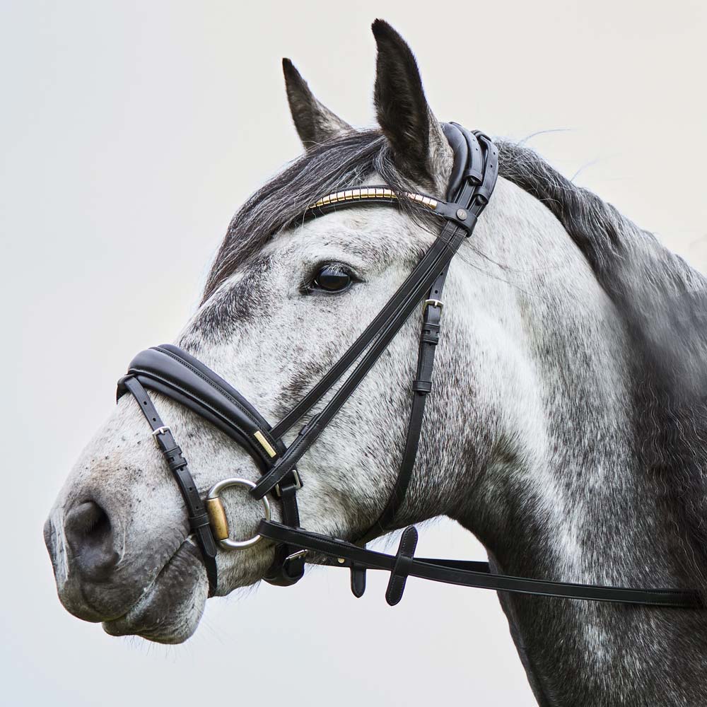 Combined noseband bridle  Contender JH Collection®