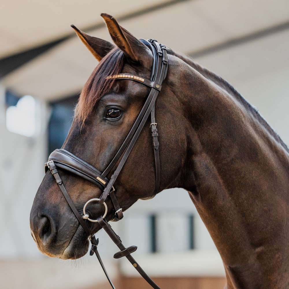 Combined noseband bridle  Contender JH Collection®