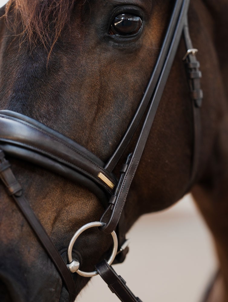 Combined noseband bridle  Contender JH Collection®