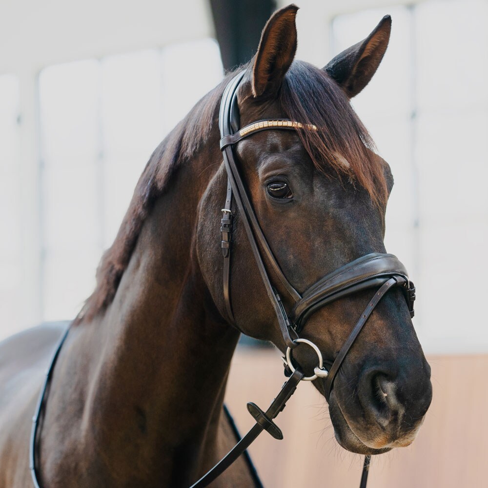 Combined noseband bridle  Contender JH Collection®