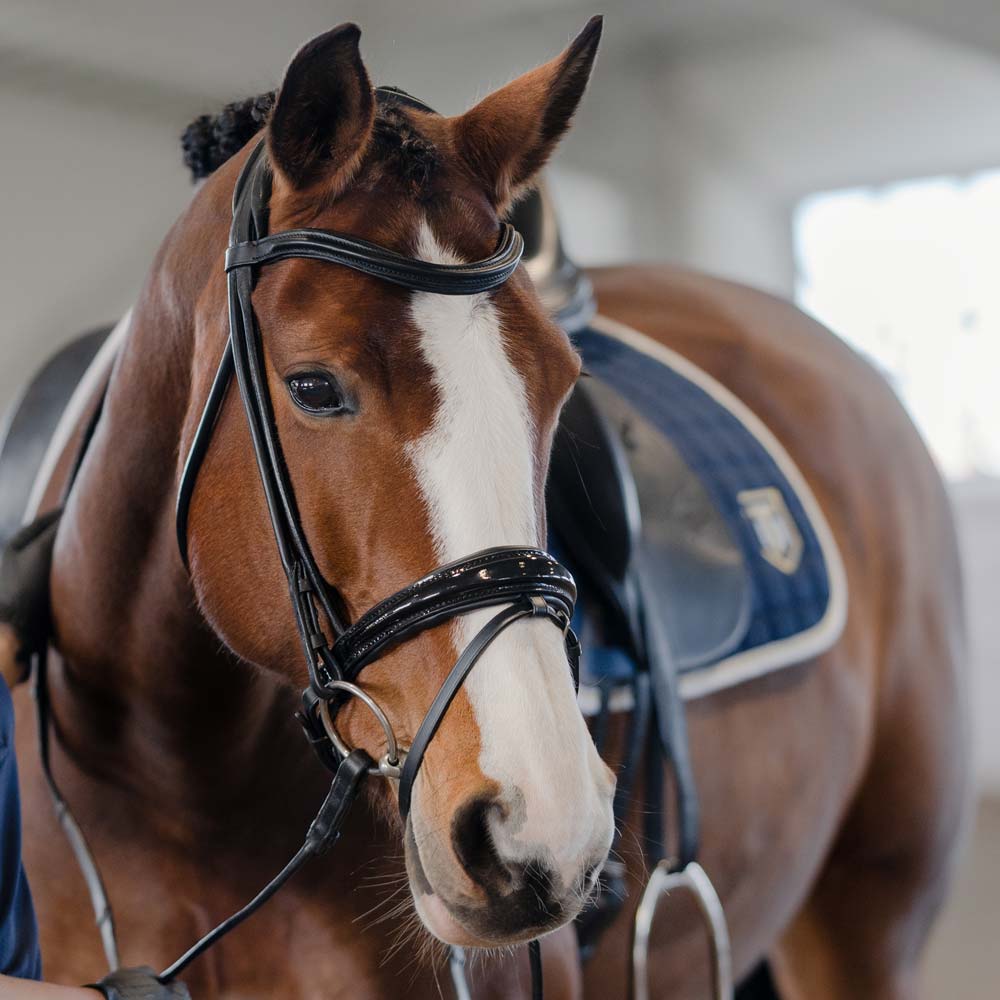 Combined noseband bridle  Chelsea Fairfield®