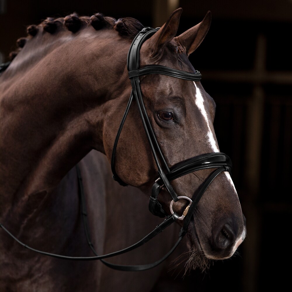 Combined noseband bridle  Chelsea Fairfield®