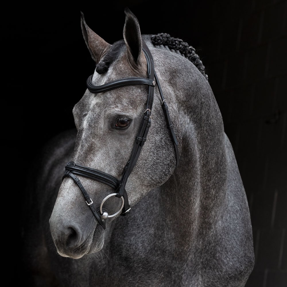 Combined noseband bridle  Langford Fairfield®