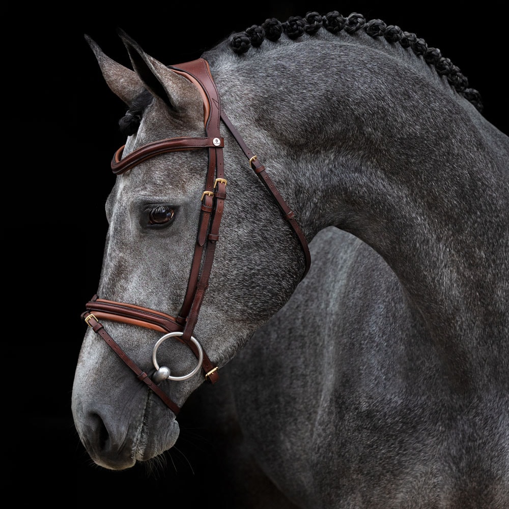 Combined noseband bridle  Langford Fairfield®