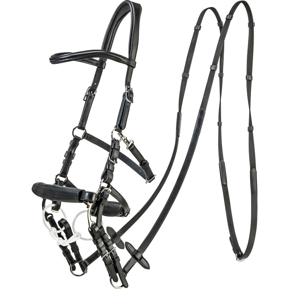 Bridle  Carl JH Collection®