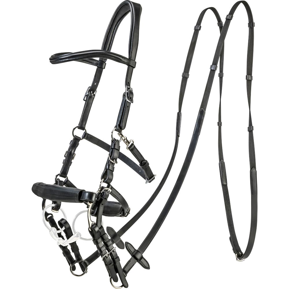 Bridle  Capitano JH Collection®