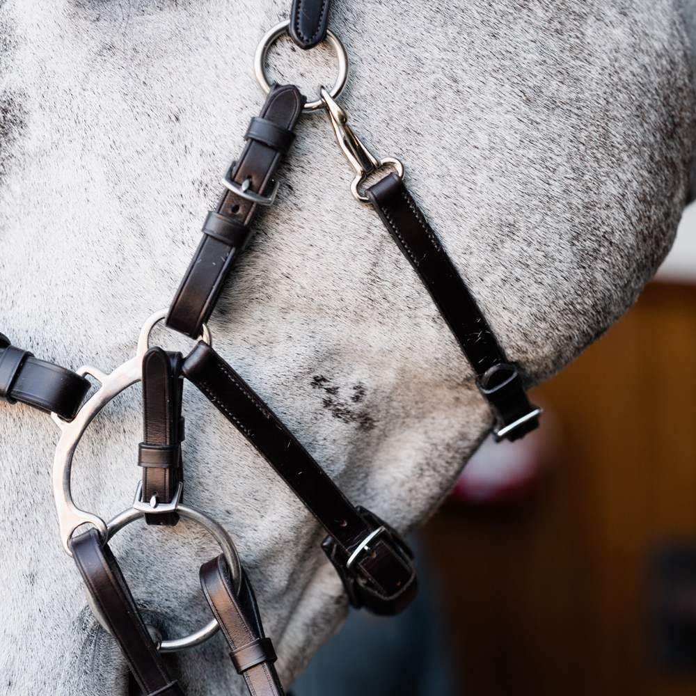 Bridle  Capitano JH Collection®