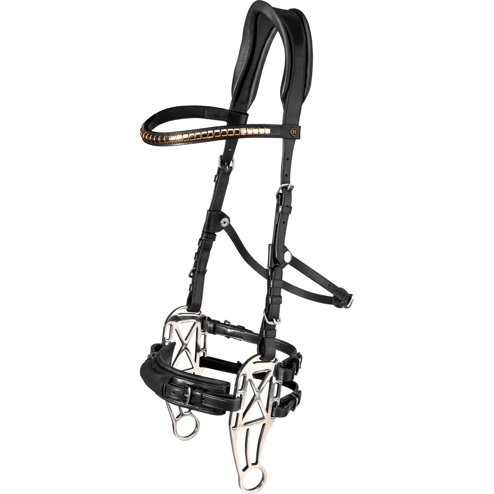 Hackamore bridle  Carl JH Collection®