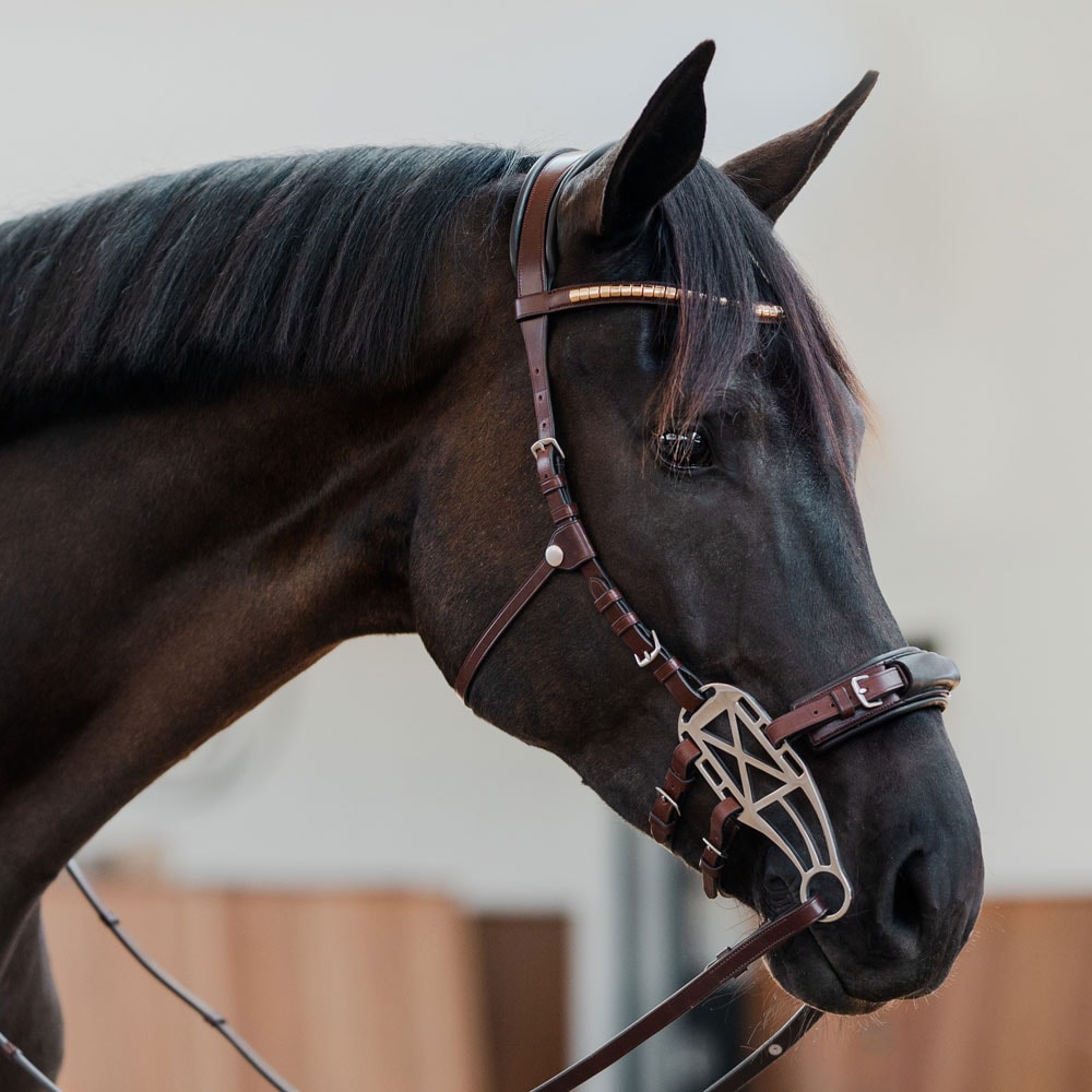 Hackamore bridle  Carl JH Collection®