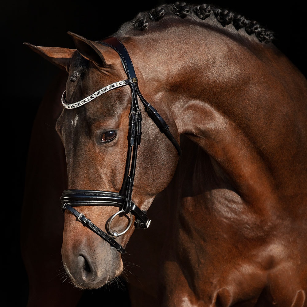 Bridles Aachen Ancona JH Collection®