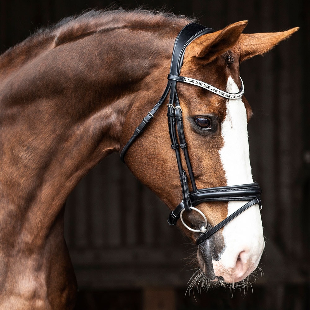 Bridles Aachen Ancona JH Collection®