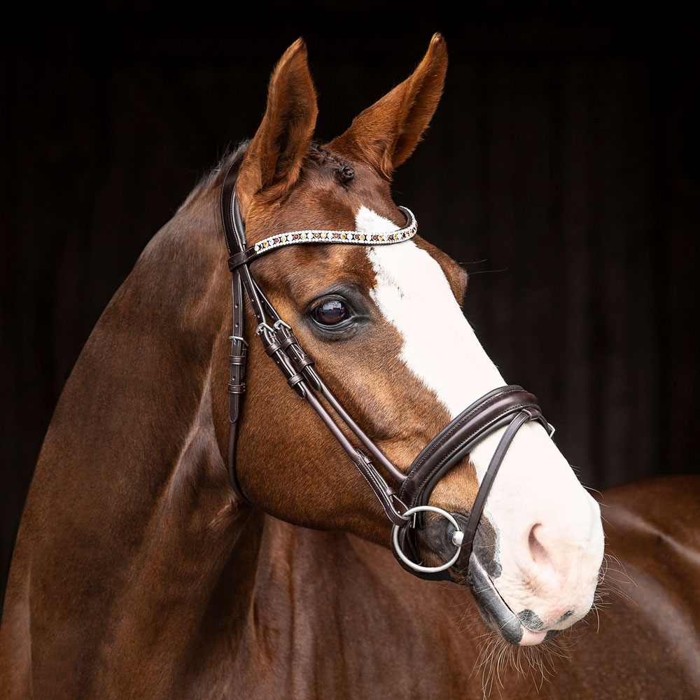 Bridles Aachen Ancona JH Collection®