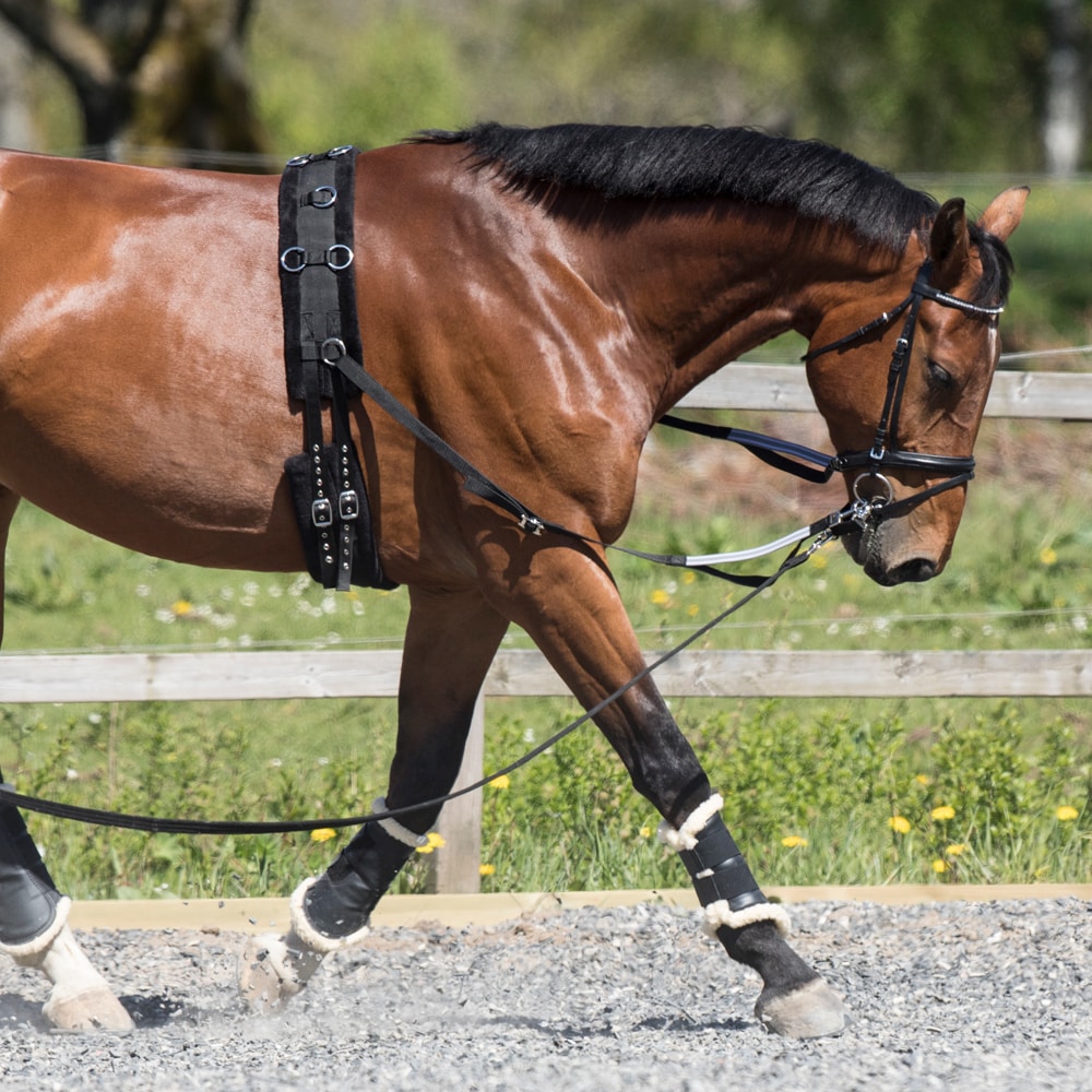 Side reins   Fairfield®