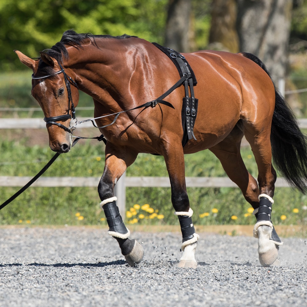 Side reins   Fairfield®