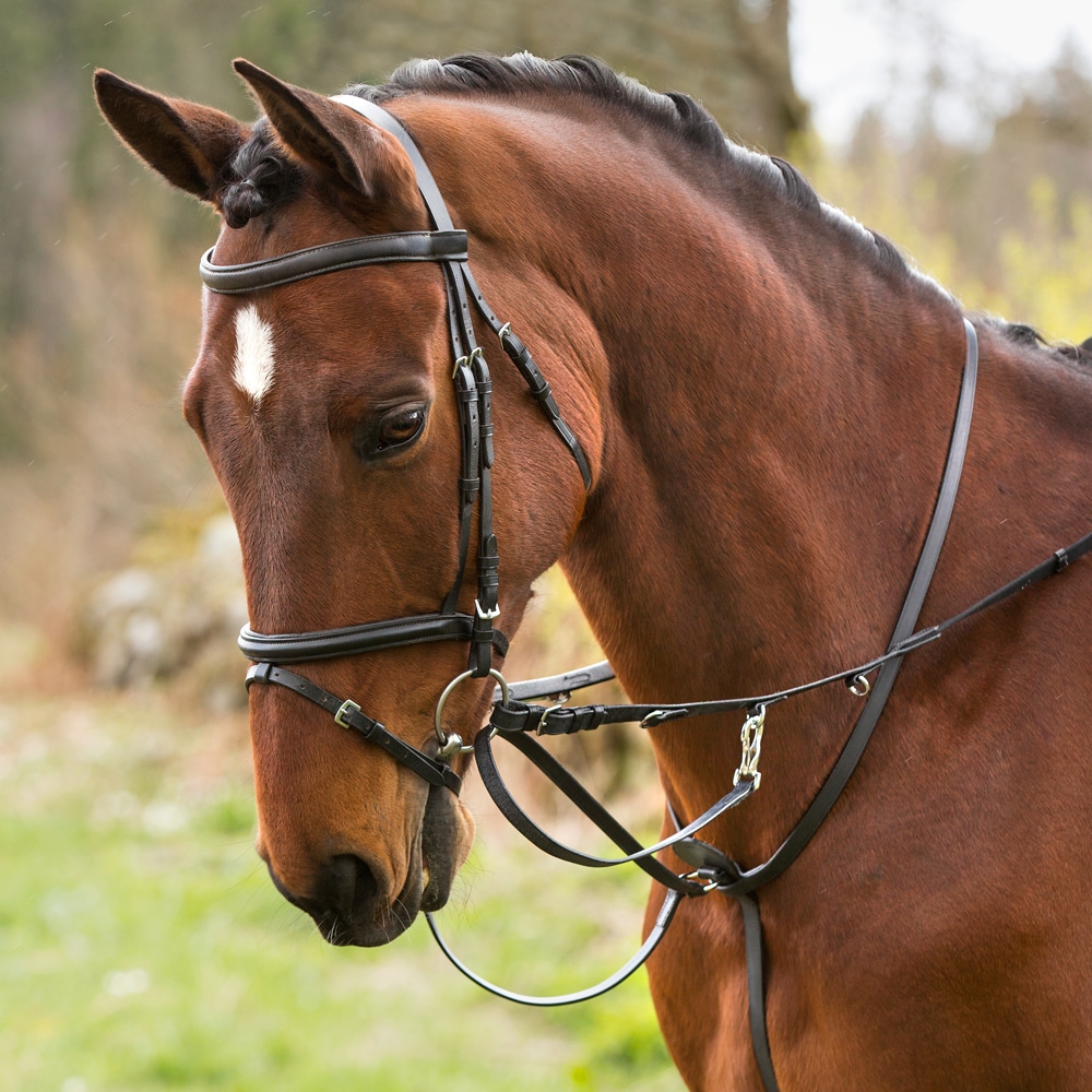 Market Harborough Pony  Fairfield®