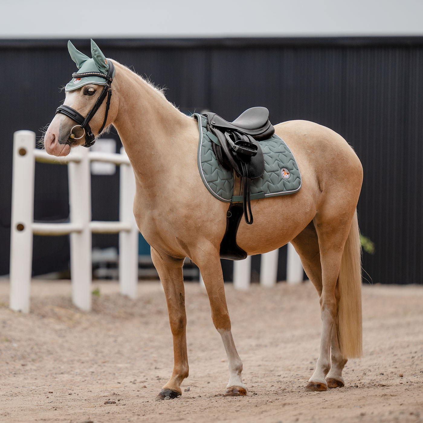 General purpose saddle blanket  Crevan CRW®