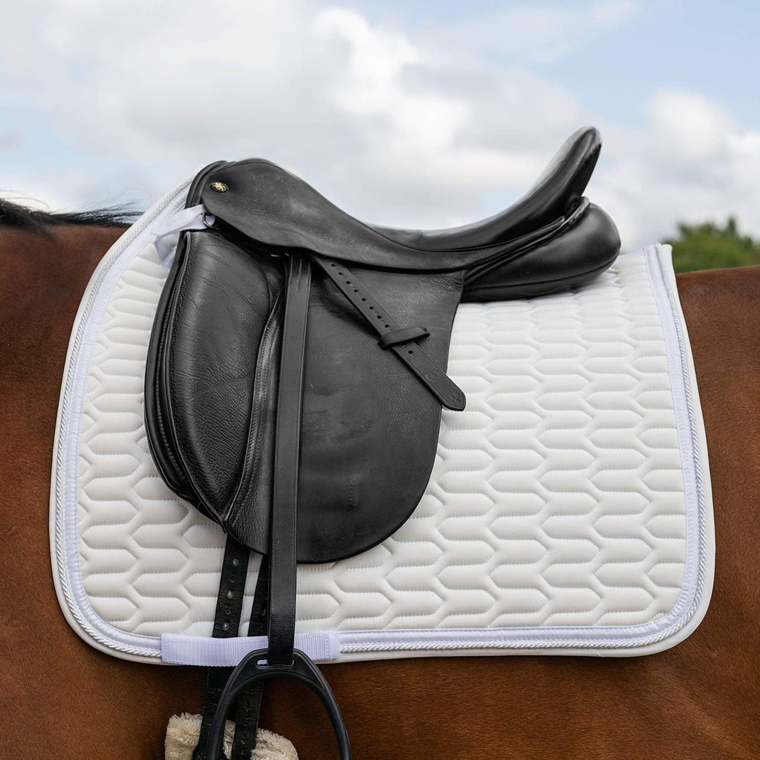 Dressage saddle blanket  Modesto Fairfield®