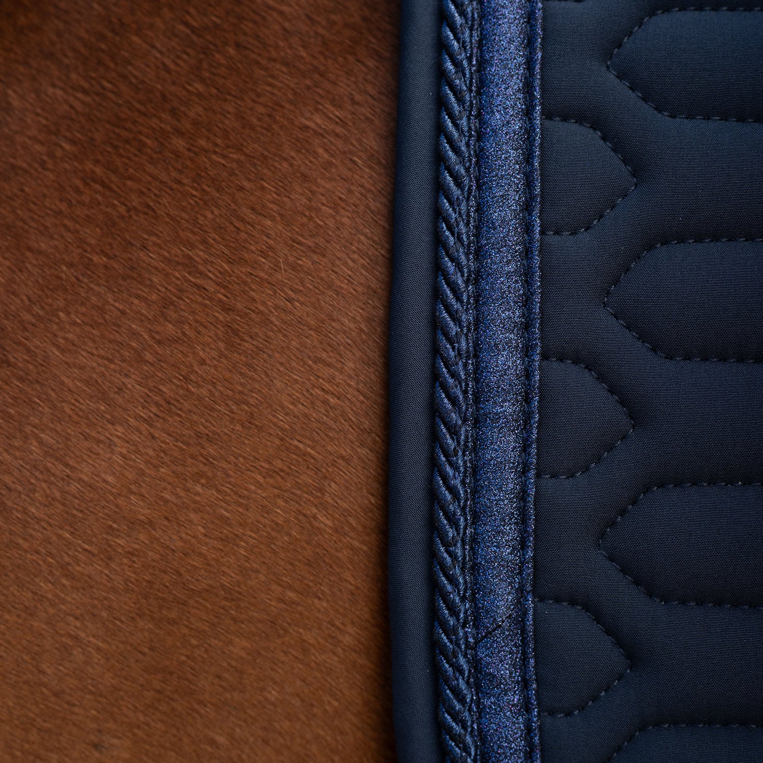 Dressage saddle blanket  Modesto Fairfield®
