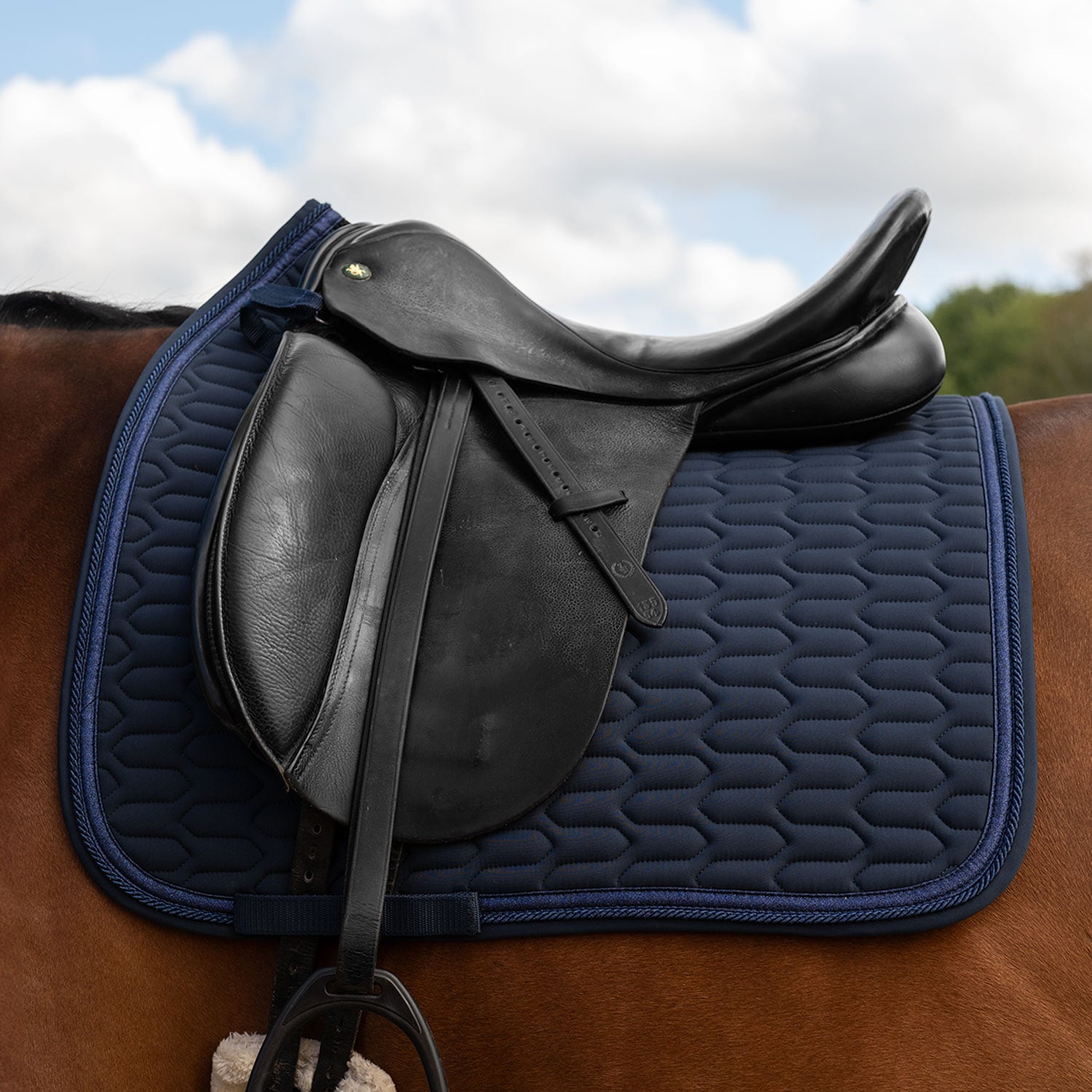Dressage saddle blanket  Modesto Fairfield®