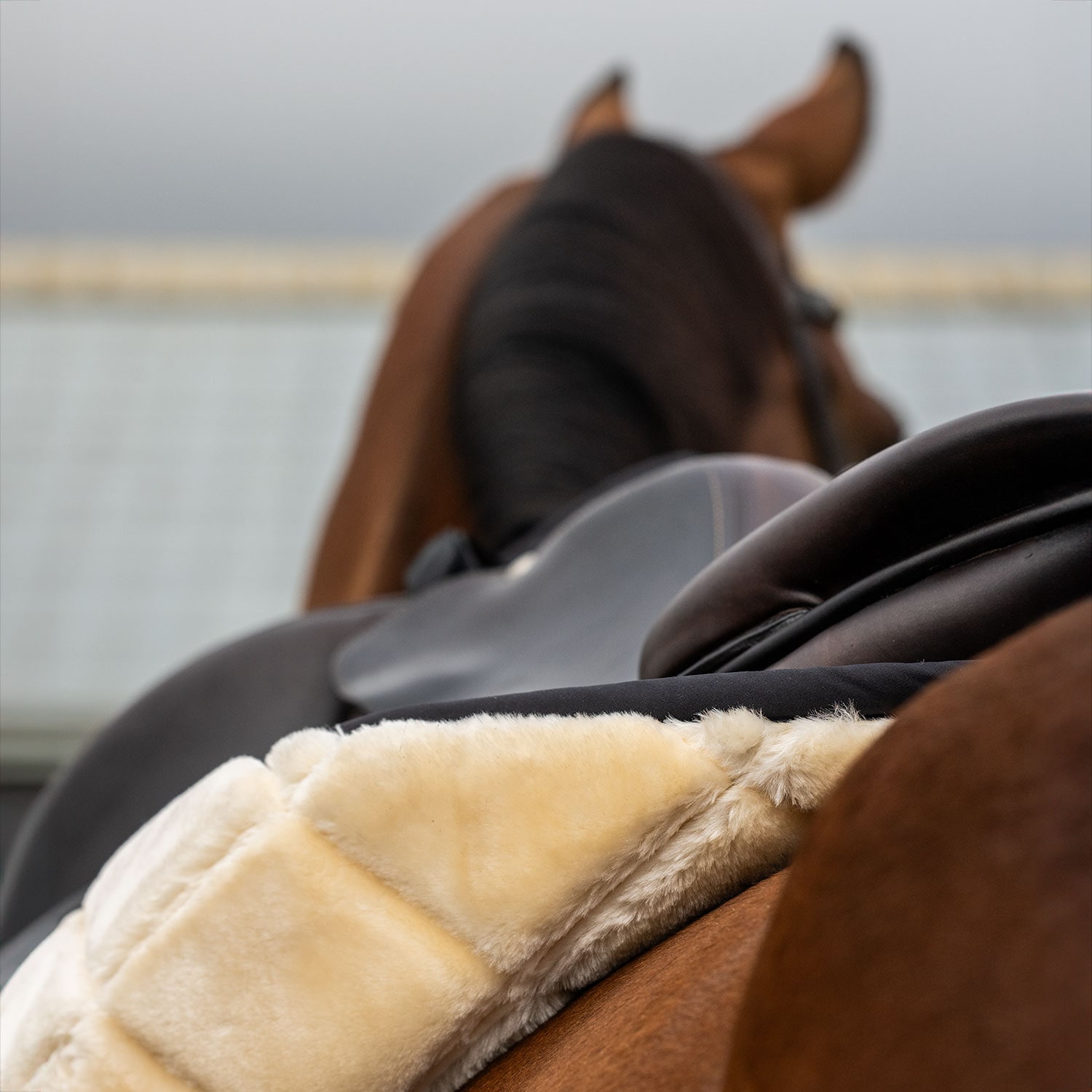 General purpose saddle blanket  Corridale Fairfield®