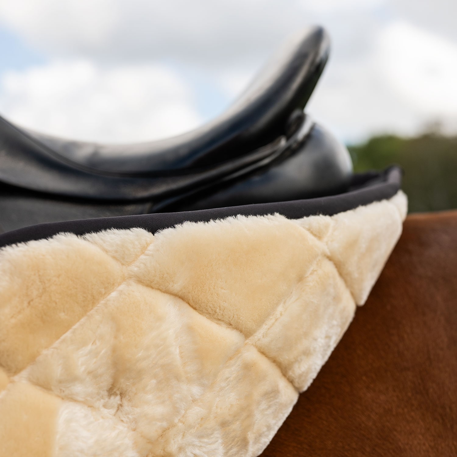 Dressage saddle blanket  Corridale Fairfield®