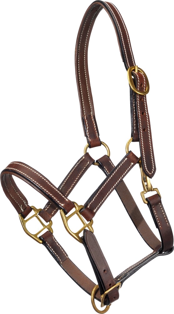 Foal/Shetland halter  Fernville Fairfield®