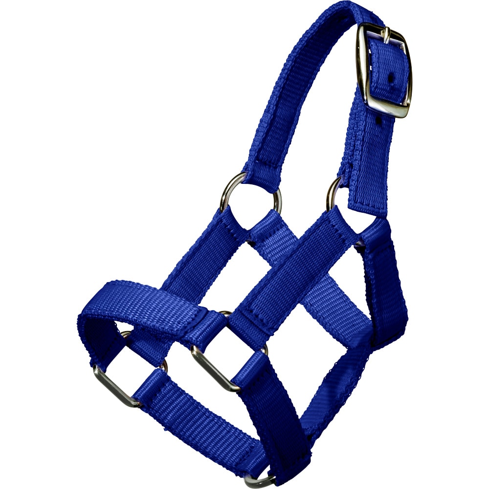 Mini foal halter   Fairfield®